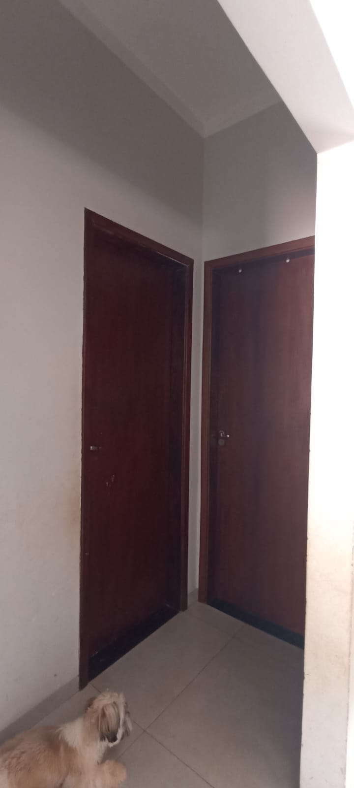 WhatsApp Image 2026 01 27 at 10.24.00 (1)