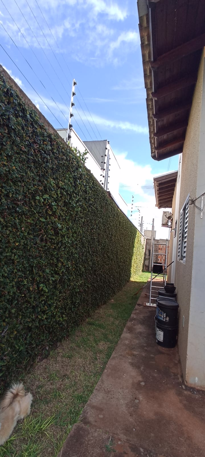 WhatsApp Image 2026 01 27 at 10.24.03 (1)