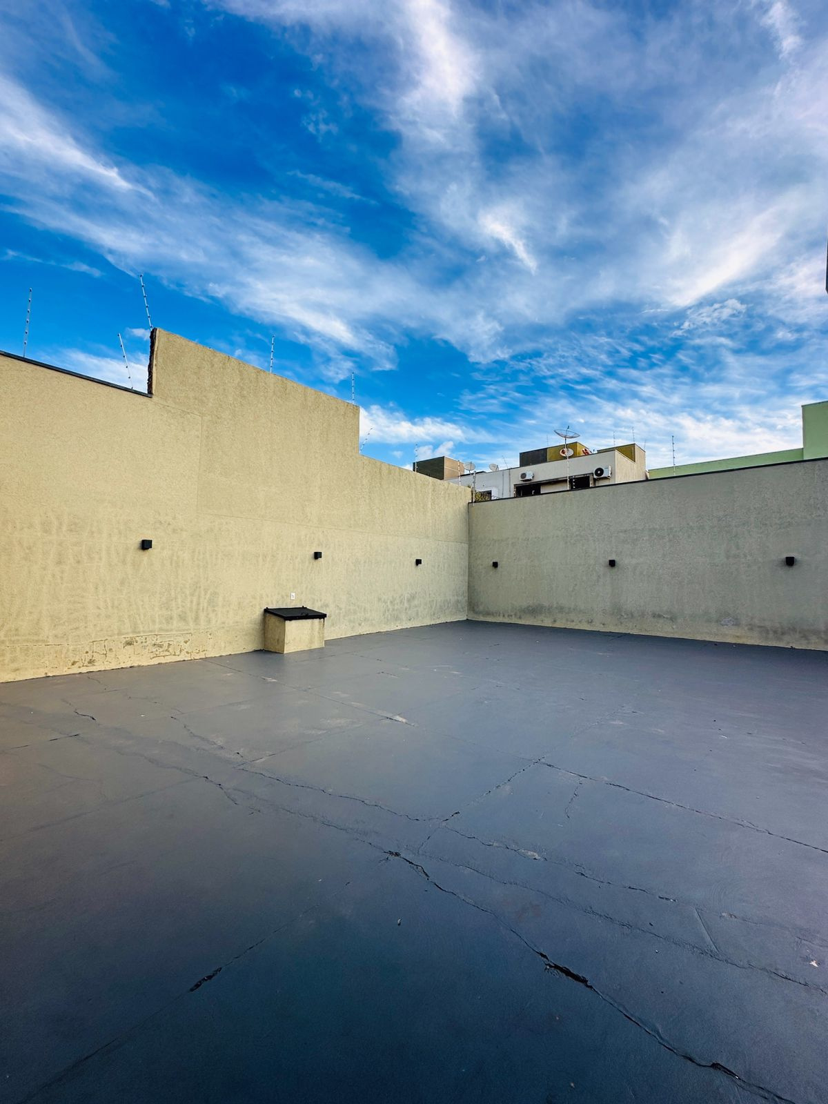 WhatsApp Image 2026 02 11 at 08.21.57