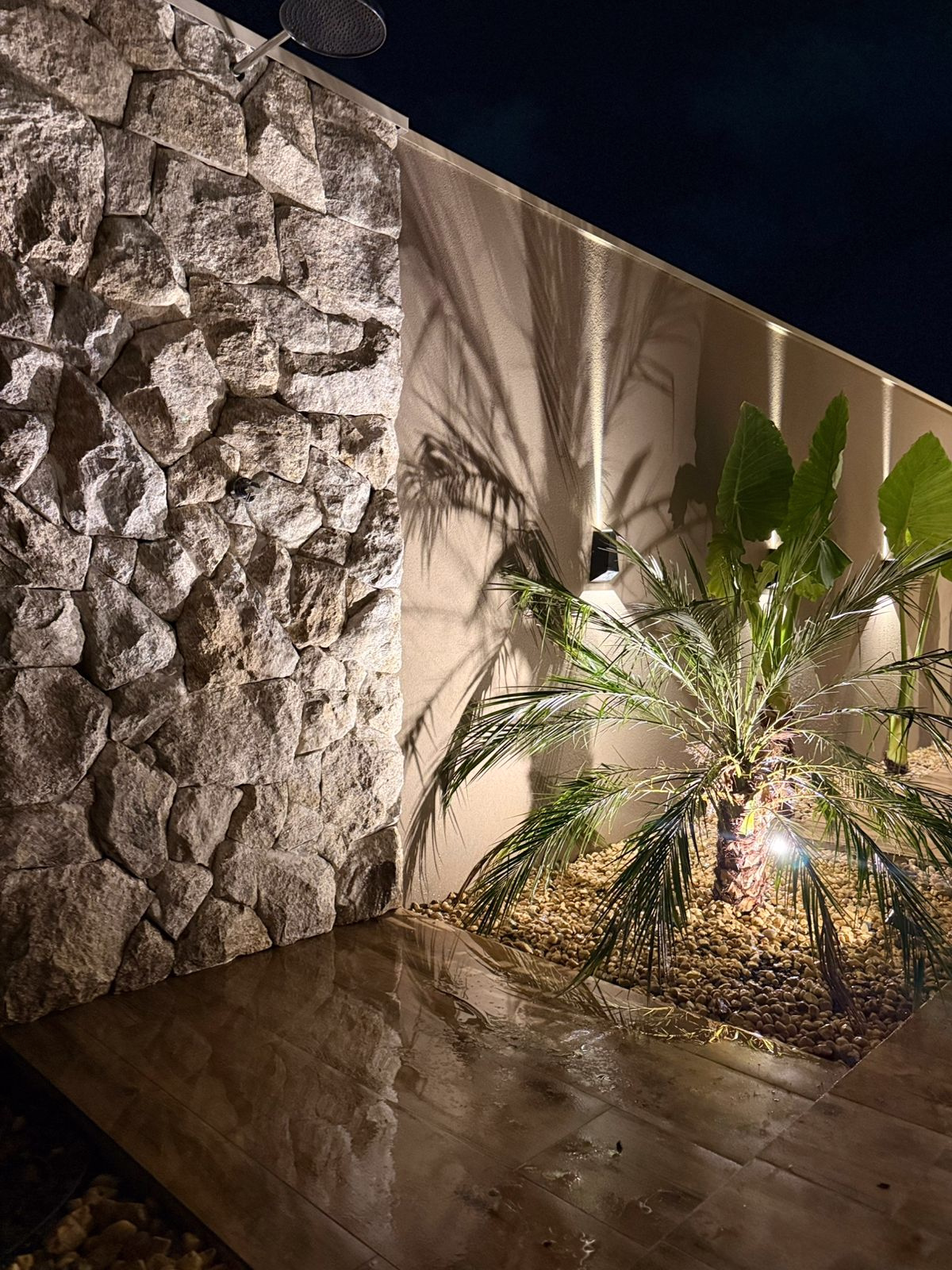 WhatsApp Image 2026 03 23 at 12.19.09