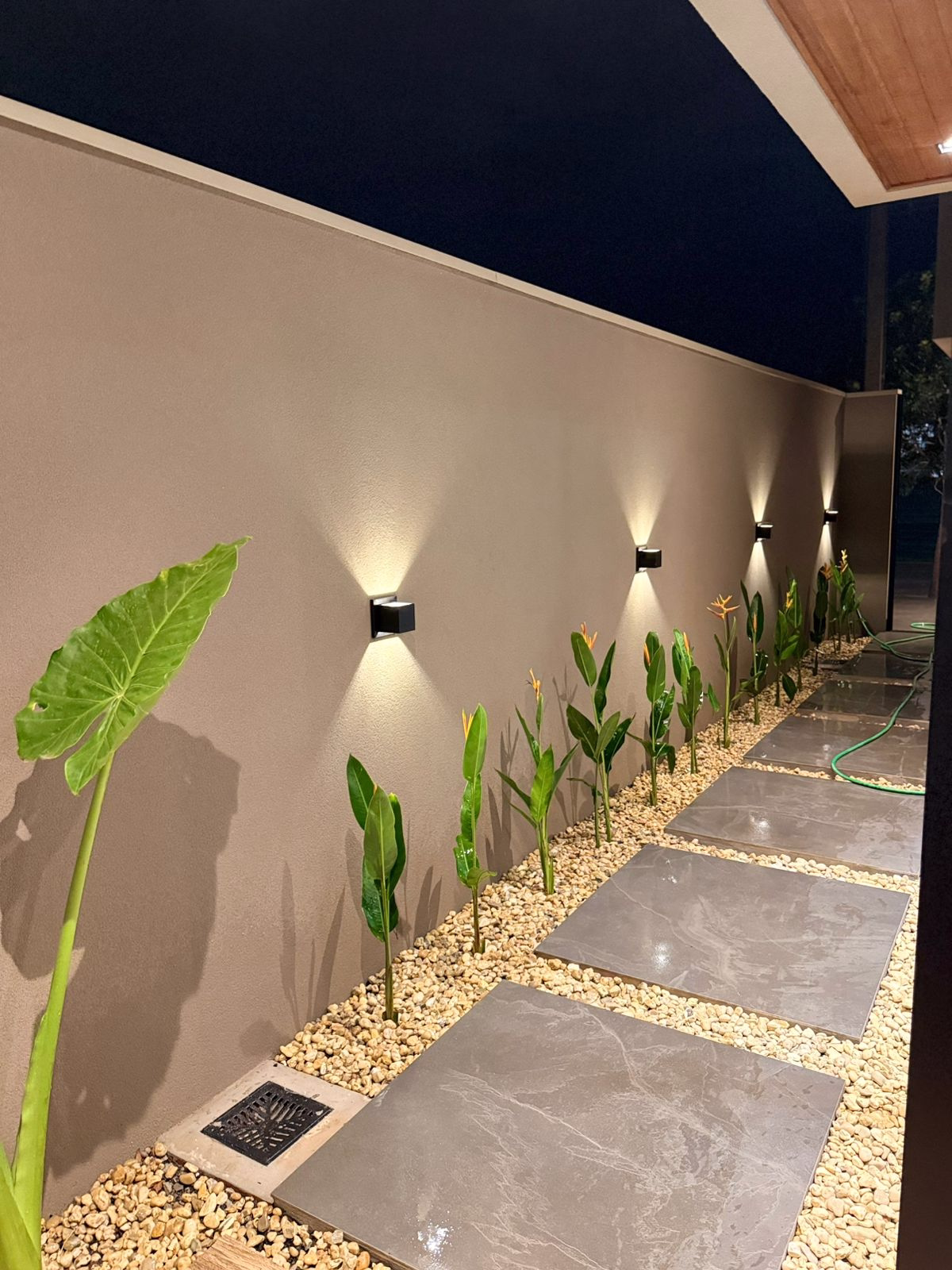 WhatsApp Image 2026 03 23 at 12.19.11